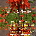 '       문우님들 ....' 글에 포함된 이미지