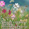 '       문우님들 ....' 글에 포함된 이미지