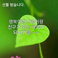 '       문우님들 ....' 글에 포함된 이미지