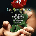 '       문우님들 ....' 글에 포함된 이미지