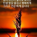 '       문우님들 ....' 글에 포함된 이미지
