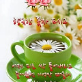 '       문우님들 ....' 글에 포함된 이미지