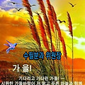 '       문우님들 ....' 글에 포함된 이미지