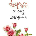 댓글 첨부 이미지