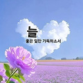 댓글 첨부 이미지
