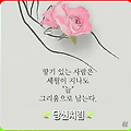 댓글 첨부 이미지