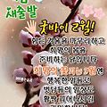 댓글 첨부 이미지