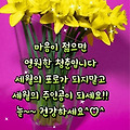 댓글 첨부 이미지