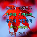 댓글 첨부 이미지