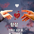 댓글 첨부 이미지