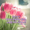 댓글 첨부 이미지