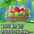 댓글 첨부 이미지