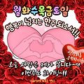 댓글 첨부 이미지
