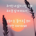 댓글 첨부 이미지