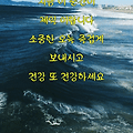 댓글 첨부 이미지