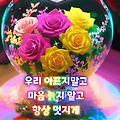 댓글 첨부 이미지