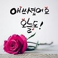 댓글 첨부 이미지
