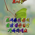 댓글 첨부 이미지