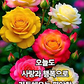 댓글 첨부 이미지