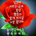 댓글 첨부 이미지