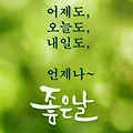 댓글 첨부 이미지