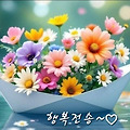 댓글 첨부 이미지
