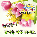 댓글 첨부 이미지
