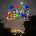 댓글 첨부 이미지