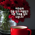 댓글 첨부 이미지