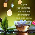 댓글 첨부 이미지