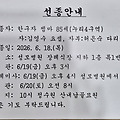 댓글 첨부 이미지