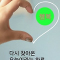 댓글 첨부 이미지