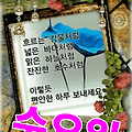 댓글 첨부 이미지