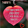 댓글 첨부 이미지