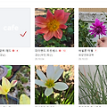댓글 첨부 이미지