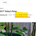 댓글 첨부 이미지