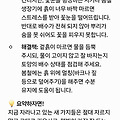 댓글 첨부 이미지