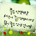 댓글 첨부 이미지