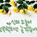 댓글 첨부 이미지