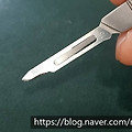 '여야 당대표가 전국민' 글에 포함된 이미지