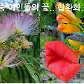 '건강은 건강할때 예방' 글에 포함된 이미지
