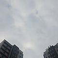 '🌍정부가 서울 강남' 글에 포함된 이미지