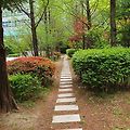 '🌿 봄봄은 보는 계' 글에 포함된 이미지