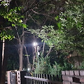 '청개구리와귀뚜라미와' 글에 포함된 이미지