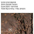 '🍁' 글에 포함된 이미지
