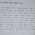 '[여러 형식의 문장들]' 글에 포함된 이미지