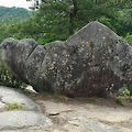'🌏물질세계는정반합' 글에 포함된 이미지