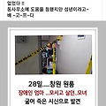'궁금몇 일 굶으면 죽' 글에 포함된 이미지