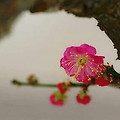 '참전계366사 제16사  ' 글에 포함된 이미지