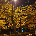 '' 글에 포함된 이미지